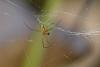 264596 – Photo : D. Martinez – Philippines